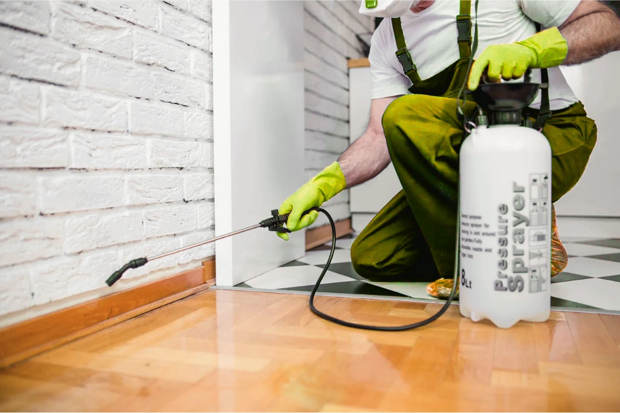 Why Choose Our Inner City Cleaners